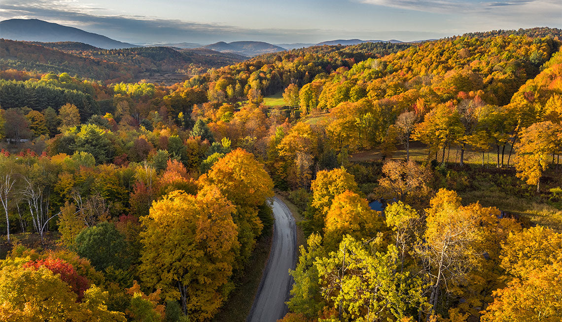 Our Family’s Favorite Fall Traditions 🍂